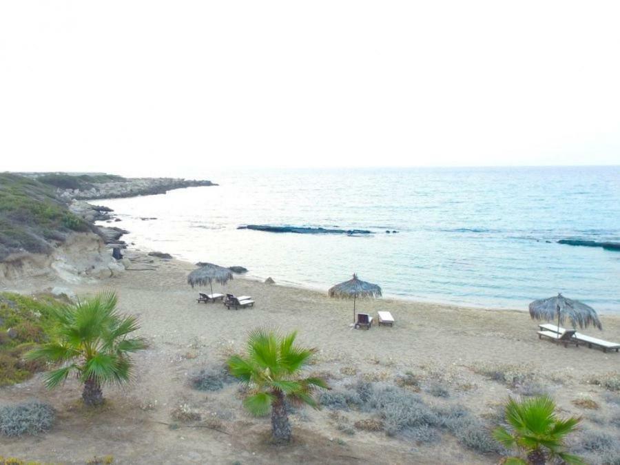 Balci Plaza Hotel And Balci Plaza Guest Bungalows Karpaz Peninsula Selenias Exterior foto